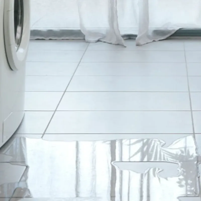 Appliance Leak Cleanup in Worth, IL