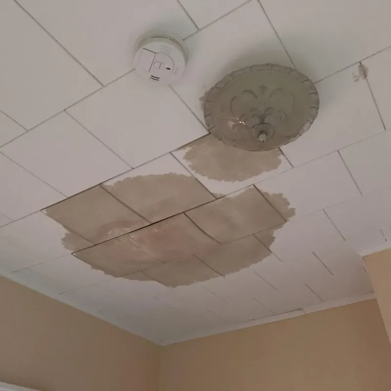 Ceiling Water Damage Repair in Worth, IL