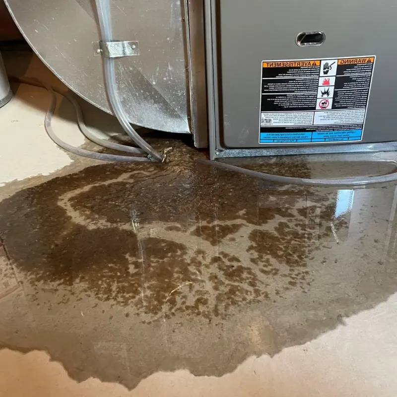 Pipe Burst and Leak Restoration in Worth, IL
