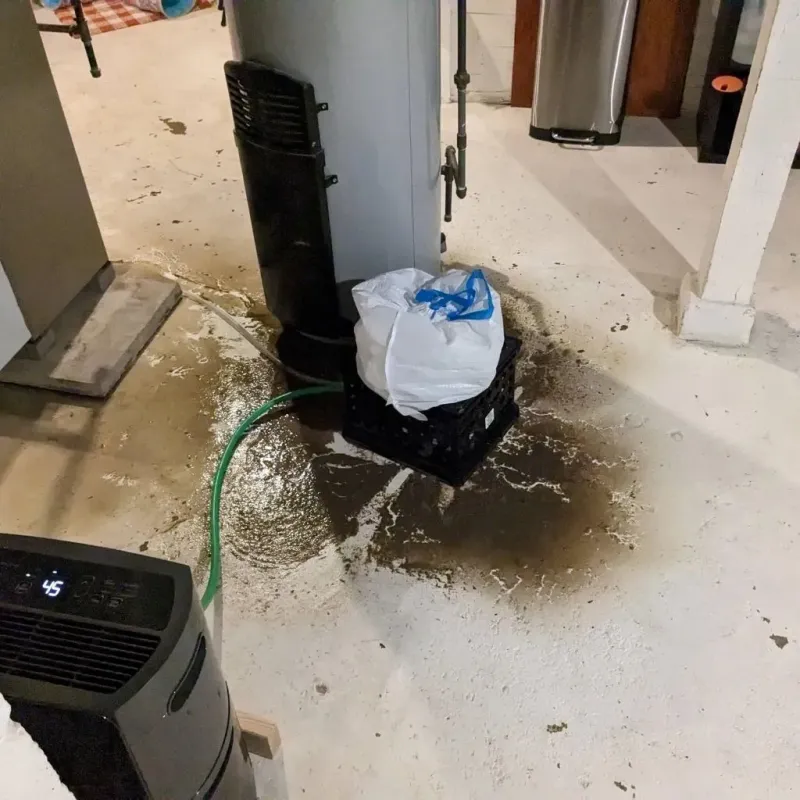 Sewage Backup Cleanup Service in Worth, IL